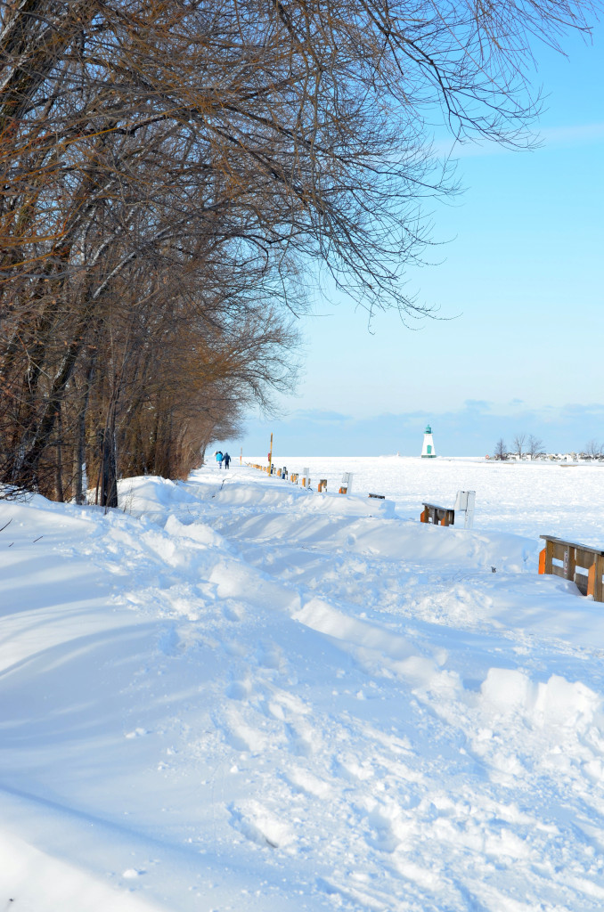 Pier and Marina in Winter