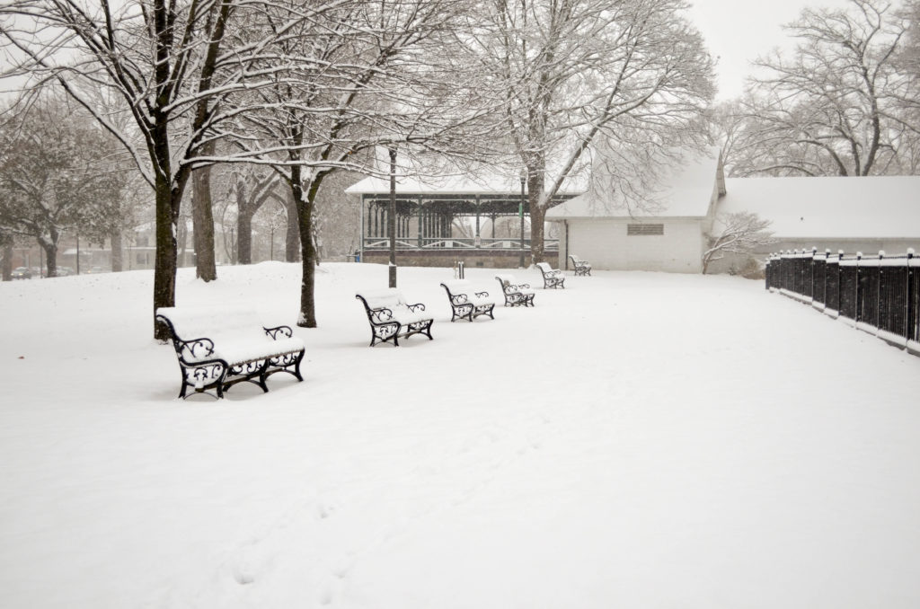Dreaming of a White Christmas | Sophster-Toaster Blog
