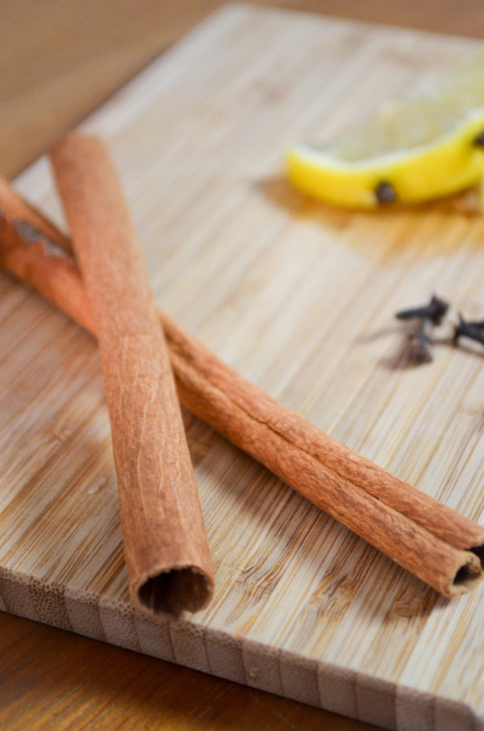 Classic Hot Toddy with Bourbon and Black Tea | Sophster-Toaster Blog