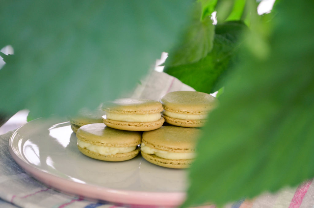 Matcha Macarons with White Chocolate Ganache | Sophster-Toaster