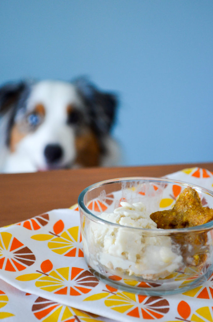 Banana Frozen Yogurt for Dogs | Sophster-Toaster