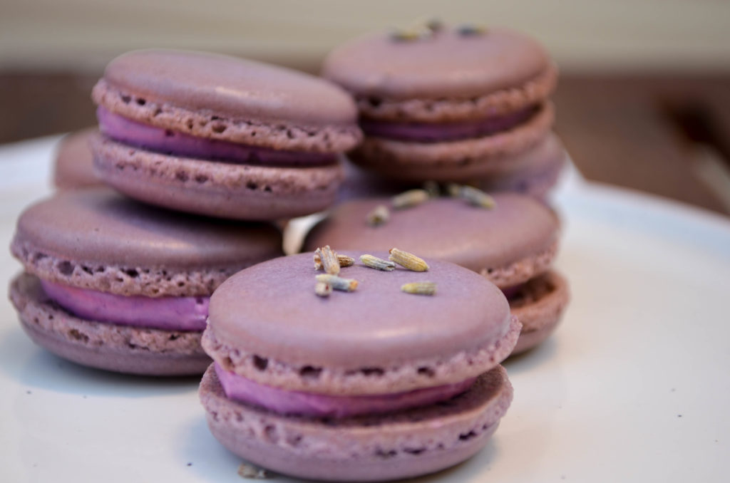 Lavender Macarons Sophster-Toaster Blog