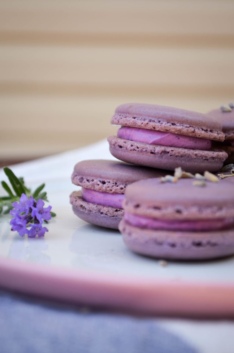 Lavender Macarons SophsterToaster