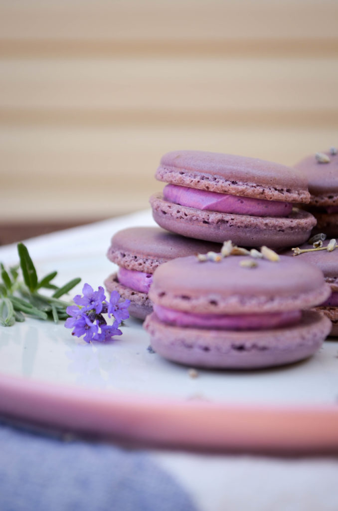 Lavender Macarons Sophster-Toaster Blog