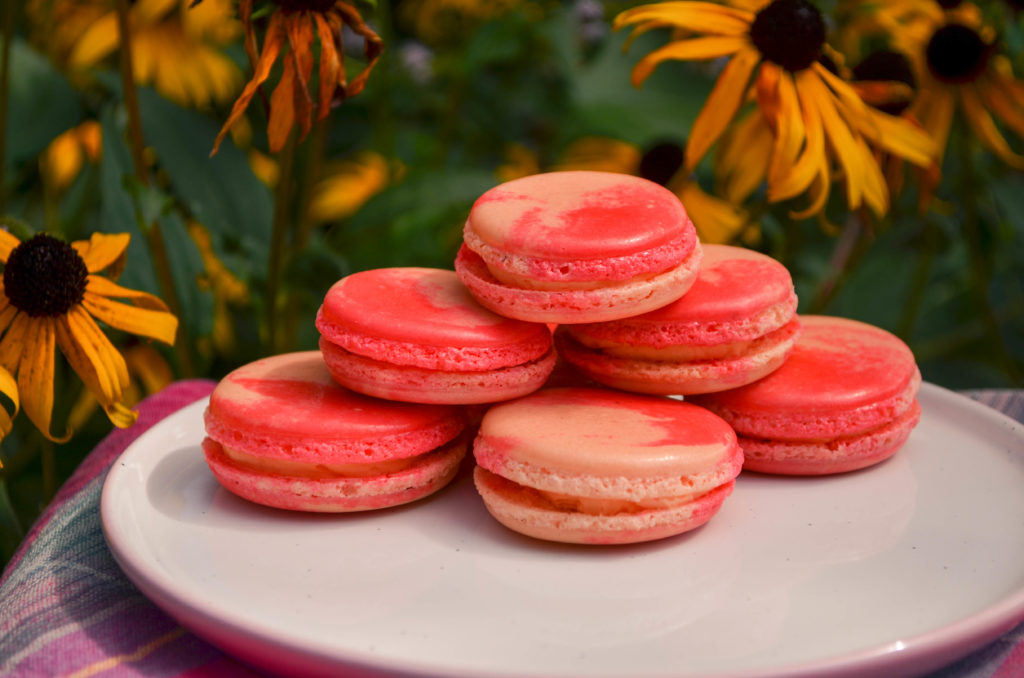 Peaches & Cream Macarons | Sophster-Toaster