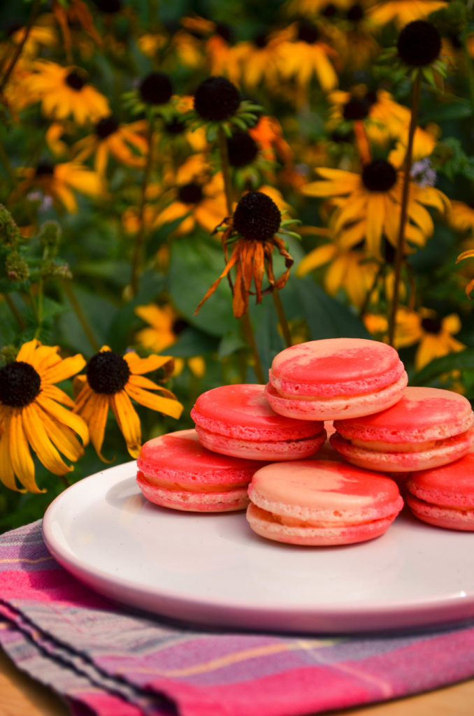 Peaches & Cream Macarons | Sophster-Toaster