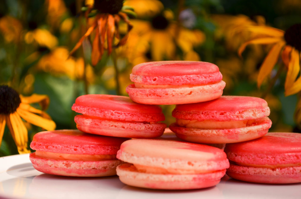 Peaches & Cream Macarons | Sophster-Toaster