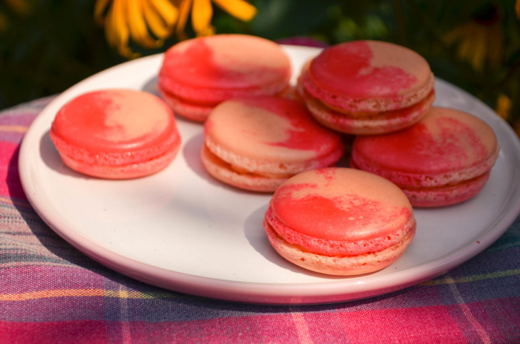 Peaches & Cream Macarons | Sophster-Toaster