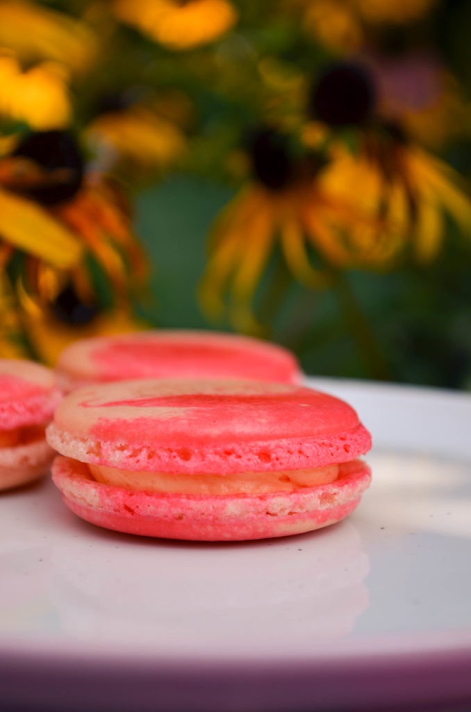 Peaches & Cream Macarons | Sophster-Toaster