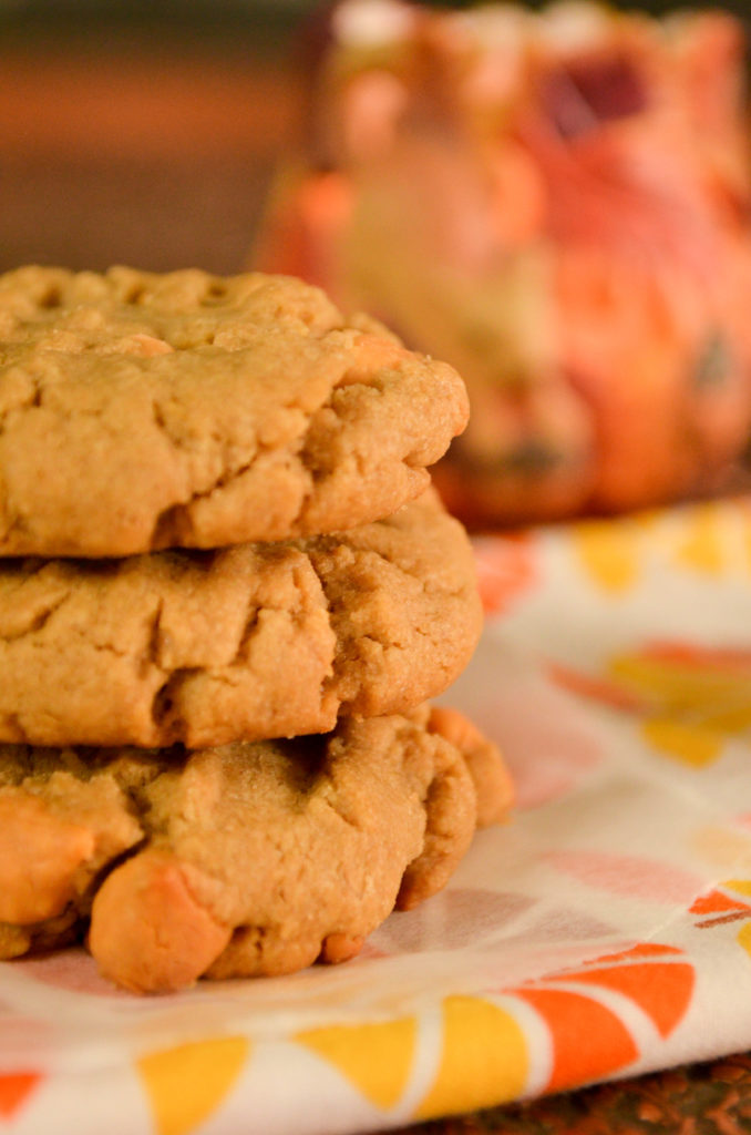 Butterscotch & Seed Butter Cookies (Nut Free) | Sophster-Toaster