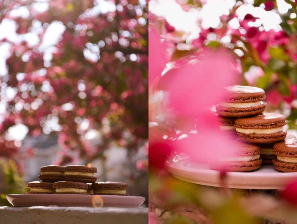 Black Forest Cake Macarons | Sophster-Toaster