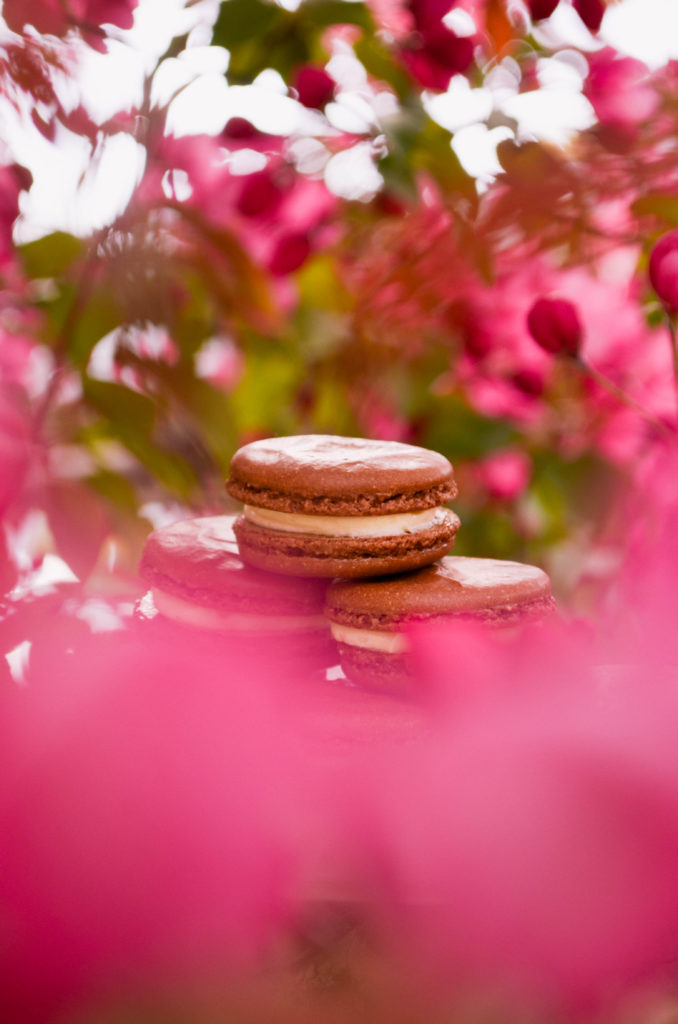 Black Forest Cake Macarons | Sophster-Toaster