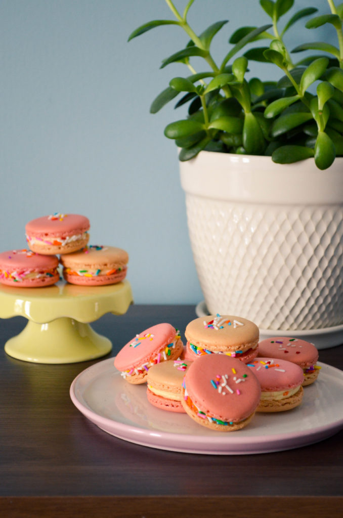 Birthday Cake Macarons | Sophster-Toaster