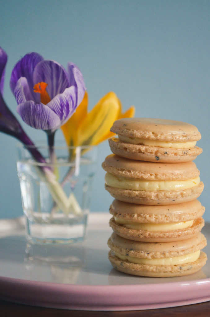 Earl Grey + Wildflower Honey Macarons | Sophster-Toaster