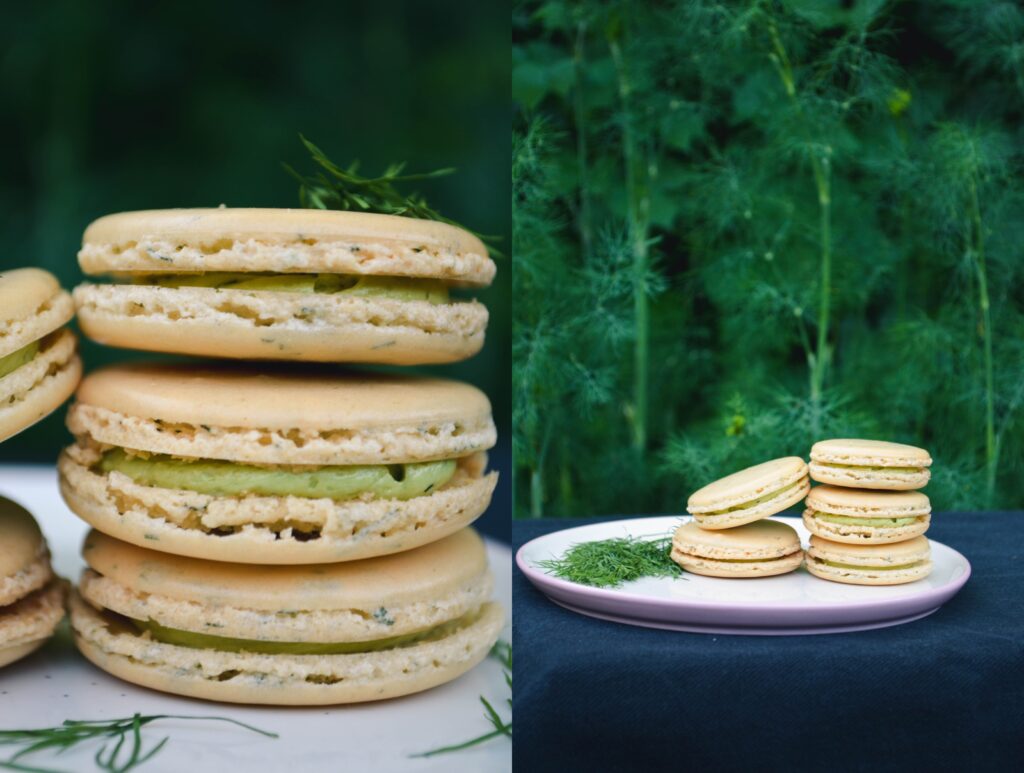 Sweet Dill Macarons | Sophster-Toaster